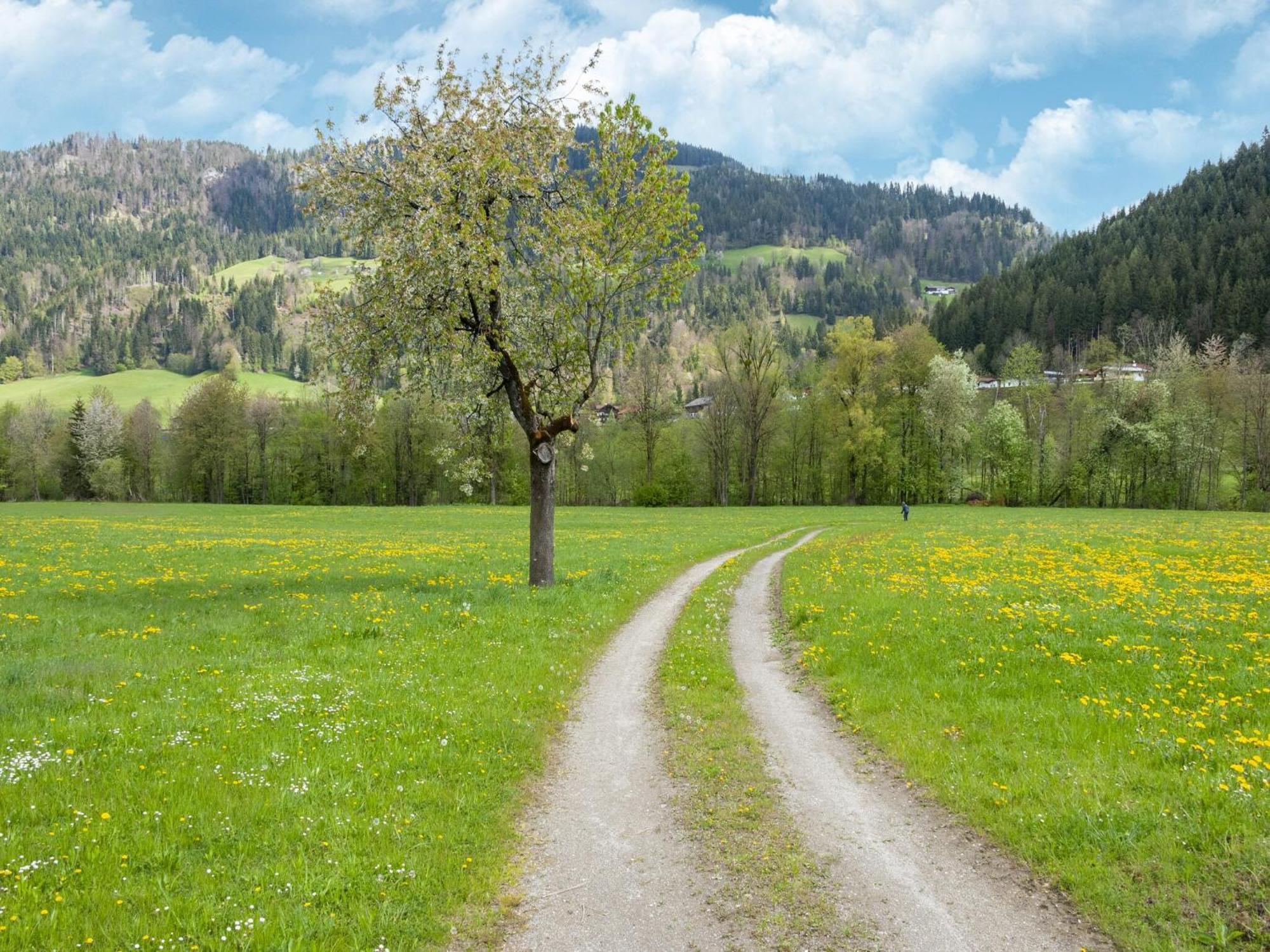 Property In キルヒビッヒル エクステリア 写真